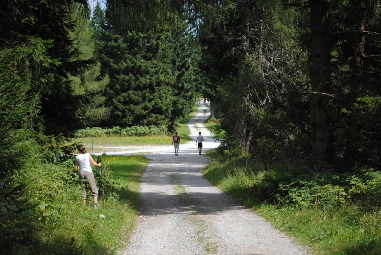 Hostel Prenocisca Cerkno Exterior foto